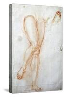 Study of Legs-Jacopo Carucci-Stretched Canvas