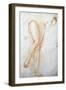 Study of Legs-Jacopo Carucci-Framed Giclee Print