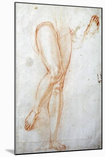 Study of Legs-Jacopo Carucci-Mounted Giclee Print