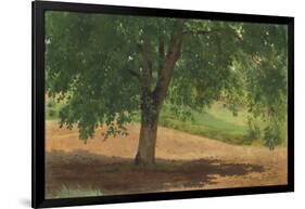 Study of Light and Shade (Oil on Card Laid Down on Canvas)-Rosa Bonheur-Framed Giclee Print