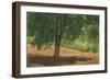 Study of Light and Shade (Oil on Card Laid Down on Canvas)-Rosa Bonheur-Framed Giclee Print