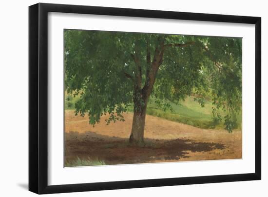 Study of Light and Shade (Oil on Card Laid Down on Canvas)-Rosa Bonheur-Framed Giclee Print