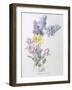 Study of Lilac and Roses-Madeleine Lemaire-Framed Giclee Print