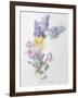 Study of Lilac and Roses-Madeleine Lemaire-Framed Giclee Print