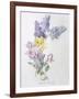 Study of Lilac and Roses-Madeleine Lemaire-Framed Giclee Print