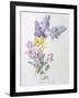 Study of Lilac and Roses-Madeleine Lemaire-Framed Giclee Print