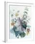 Study of Lilac, Capucine and Fuchsia-Pierre-Joseph Redouté-Framed Giclee Print