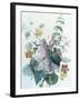 Study of Lilac, Capucine and Fuchsia-Pierre-Joseph Redouté-Framed Giclee Print