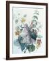 Study of Lilac, Capucine and Fuchsia-Pierre-Joseph Redouté-Framed Giclee Print