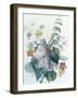 Study of Lilac, Capucine and Fuchsia-Pierre-Joseph Redouté-Framed Giclee Print