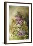 Study of Lilac-Claude Massman-Framed Giclee Print