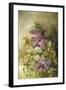 Study of Lilac-Claude Massman-Framed Giclee Print