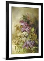 Study of Lilac-Claude Massman-Framed Giclee Print