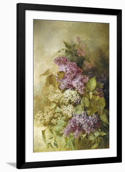 Study of Lilac-Claude Massman-Framed Giclee Print