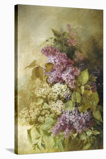 Study of Lilac-Claude Massman-Stretched Canvas