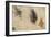 Study of Men Fighting, 1503-4-Leonardo da Vinci-Framed Giclee Print