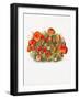 Study of Mushrooms (1880) Portrait Mode-Mary Vaux Walcott-Framed Giclee Print