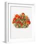 Study of Mushrooms (1880) Portrait Mode-Mary Vaux Walcott-Framed Giclee Print