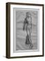 Study of naked dancer, study for Little dancer of fourteen years-Edgar Degas-Framed Giclee Print