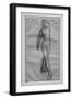 Study of naked dancer, study for Little dancer of fourteen years-Edgar Degas-Framed Giclee Print