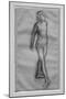 Study of naked dancer, study for Little dancer of fourteen years-Edgar Degas-Mounted Giclee Print