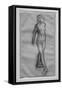 Study of naked dancer, study for Little dancer of fourteen years-Edgar Degas-Framed Stretched Canvas