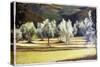 Study of Olive Trees, no.2-Helen J. Vaughn-Stretched Canvas