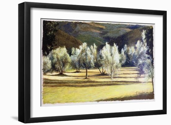 Study of Olive Trees, no.2-Helen J. Vaughn-Framed Premium Giclee Print