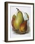 Study of Pears-null-Framed Giclee Print