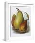 Study of Pears-null-Framed Giclee Print