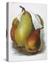 Study of Pears-null-Stretched Canvas