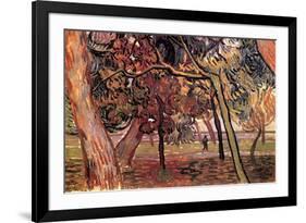 Study of Pine Trees-Vincent van Gogh-Framed Art Print