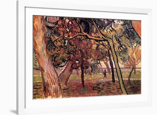 Study of Pine Trees-Vincent van Gogh-Framed Premium Giclee Print