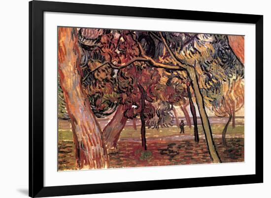 Study of Pine Trees-Vincent van Gogh-Framed Premium Giclee Print