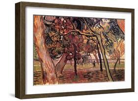 Study of Pine Trees-Vincent van Gogh-Framed Art Print