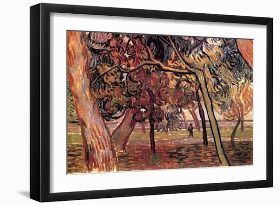 Study of Pine Trees-Vincent van Gogh-Framed Art Print