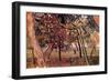 Study of Pine Trees-Vincent van Gogh-Framed Art Print