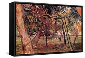 Study of Pine Trees-Vincent van Gogh-Framed Stretched Canvas