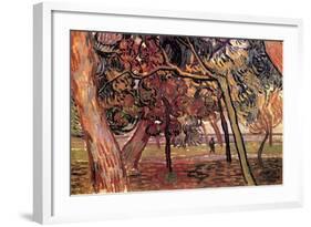 Study of Pine Trees-Vincent van Gogh-Framed Art Print