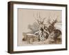 Study of Plants by a Ditch, with Additions by an Instructor, 1856-Prince Gaetano Maria Federico di Borbone-Framed Giclee Print