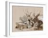 Study of Plants by a Ditch, with Additions by an Instructor, 1856-Prince Gaetano Maria Federico di Borbone-Framed Giclee Print