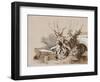 Study of Plants by a Ditch, with Additions by an Instructor, 1856-Prince Gaetano Maria Federico di Borbone-Framed Giclee Print