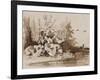 Study of Plants by a Stream with Ducks, with Additions by an Instructor, 1856-Prince Gaetano Maria Federico di Borbone-Framed Giclee Print