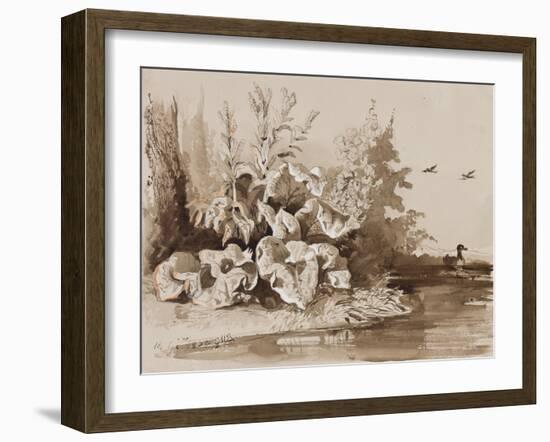 Study of Plants by a Stream with Ducks, with Additions by an Instructor, 1856-Prince Gaetano Maria Federico di Borbone-Framed Giclee Print