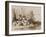 Study of Plants by a Stream with Ducks, with Additions by an Instructor, 1856-Prince Gaetano Maria Federico di Borbone-Framed Giclee Print