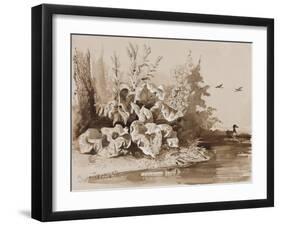 Study of Plants by a Stream with Ducks, with Additions by an Instructor, 1856-Prince Gaetano Maria Federico di Borbone-Framed Giclee Print