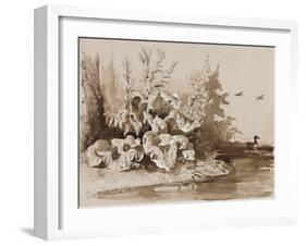 Study of Plants by a Stream with Ducks, with Additions by an Instructor, 1856-Prince Gaetano Maria Federico di Borbone-Framed Giclee Print