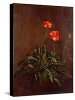 Study of Poppies-John Constable-Stretched Canvas