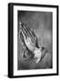 Study of Praying Hands by Albrecht Durer-Philip Gendreau-Framed Giclee Print