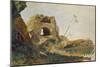 Study of Rocks and Foliage, Agrigento (Girgenti), Sicily, 1847-Edward Lear-Mounted Premium Giclee Print